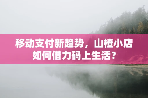 移动支付新趋势，山楂小店如何借力码上生活？