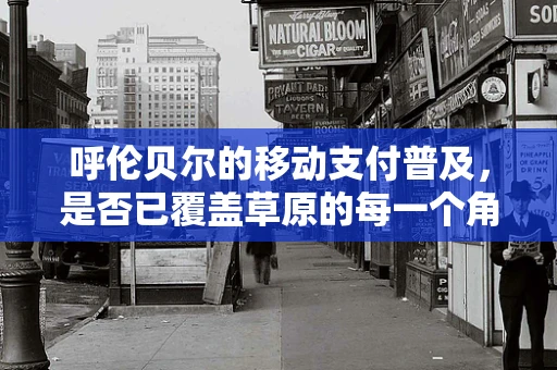 呼伦贝尔的移动支付普及，是否已覆盖草原的每一个角落？