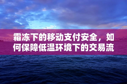 霜冻下的移动支付安全，如何保障低温环境下的交易流畅与数据安全？