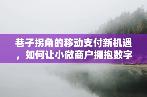 巷子拐角的移动支付新机遇，如何让小微商户拥抱数字时代？