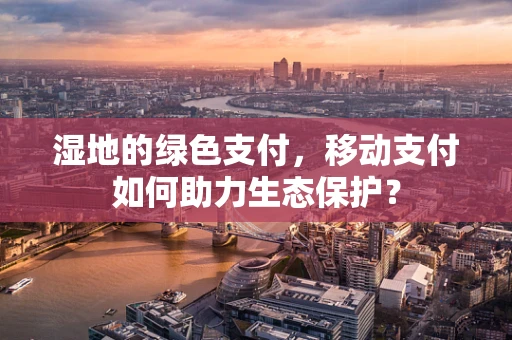 湿地的绿色支付，移动支付如何助力生态保护？