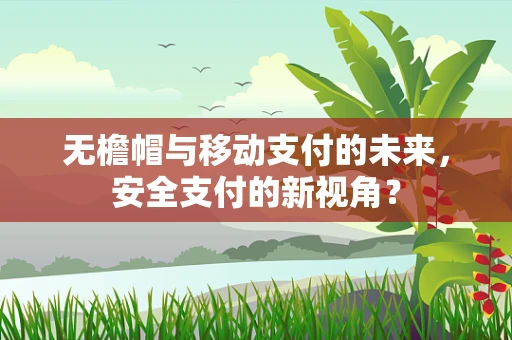 无檐帽与移动支付的未来，安全支付的新视角？