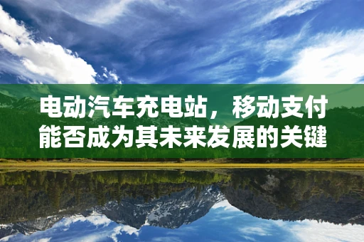 电动汽车充电站，移动支付能否成为其未来发展的关键？