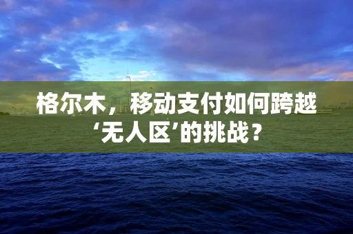 格尔木，移动支付如何跨越‘无人区’的挑战？