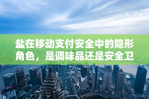 盐在移动支付安全中的隐形角色，是调味品还是安全卫士？