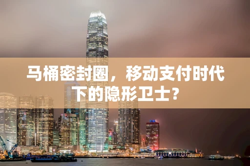 马桶密封圈，移动支付时代下的隐形卫士？