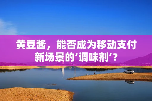 黄豆酱，能否成为移动支付新场景的‘调味剂’？