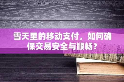 雪天里的移动支付，如何确保交易安全与顺畅？