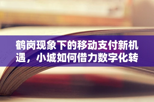 鹤岗现象下的移动支付新机遇，小城如何借力数字化转型逆袭？