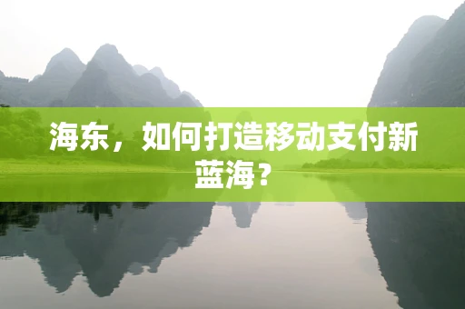 海东，如何打造移动支付新蓝海？