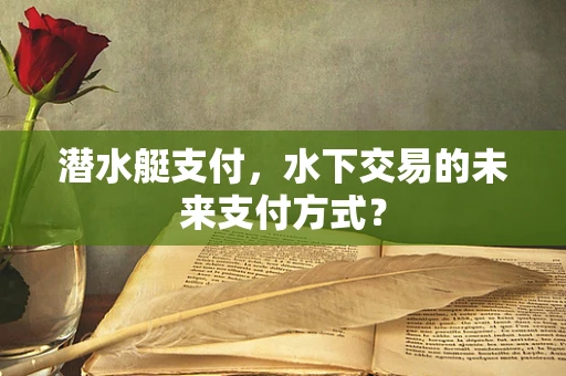 潜水艇支付，水下交易的未来支付方式？