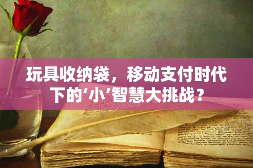 玩具收纳袋，移动支付时代下的‘小’智慧大挑战？