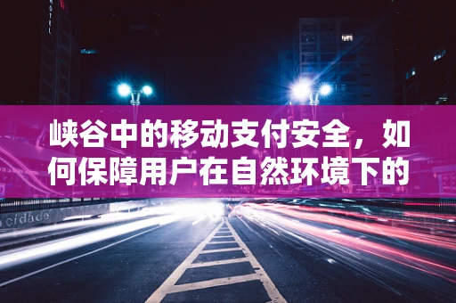 峡谷中的移动支付安全，如何保障用户在自然环境下的支付安全？