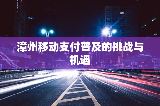 漳州移动支付普及的挑战与机遇