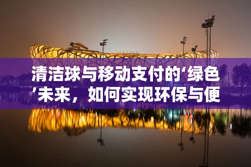 清洁球与移动支付的‘绿色’未来，如何实现环保与便捷的双重飞跃？