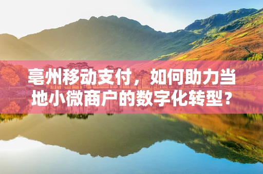 亳州移动支付，如何助力当地小微商户的数字化转型？