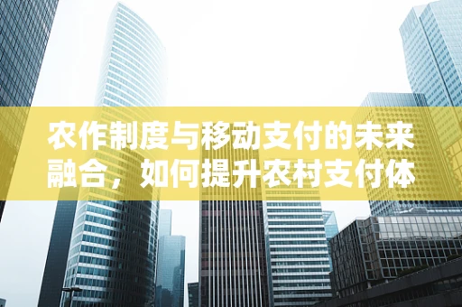 农作制度与移动支付的未来融合，如何提升农村支付体验？