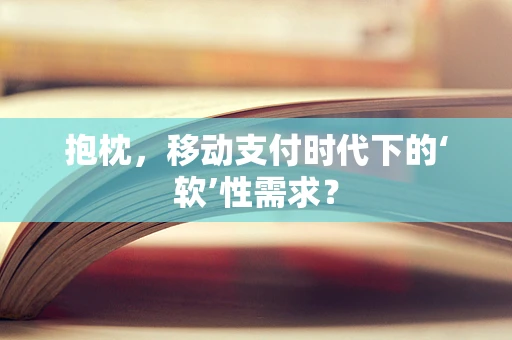 抱枕，移动支付时代下的‘软’性需求？