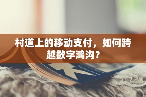 村道上的移动支付，如何跨越数字鸿沟？