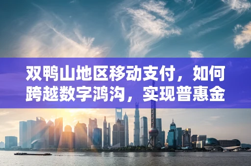 双鸭山地区移动支付，如何跨越数字鸿沟，实现普惠金融的深度探索？