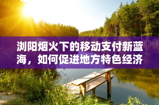 浏阳烟火下的移动支付新蓝海，如何促进地方特色经济数字化升级？