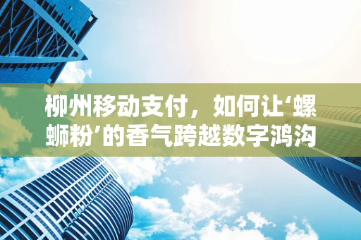 柳州移动支付，如何让‘螺蛳粉’的香气跨越数字鸿沟？