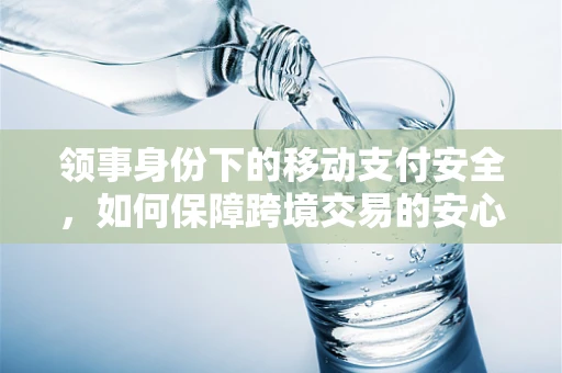 领事身份下的移动支付安全，如何保障跨境交易的安心？