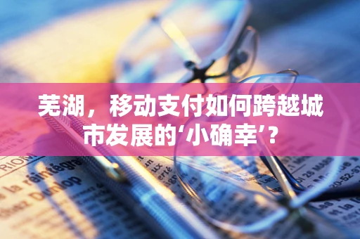 芜湖，移动支付如何跨越城市发展的‘小确幸’？