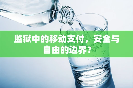 监狱中的移动支付，安全与自由的边界？