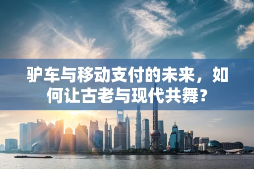 驴车与移动支付的未来，如何让古老与现代共舞？