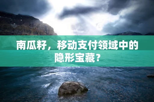 南瓜籽，移动支付领域中的隐形宝藏？