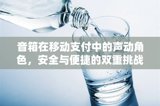 音箱在移动支付中的声动角色，安全与便捷的双重挑战？