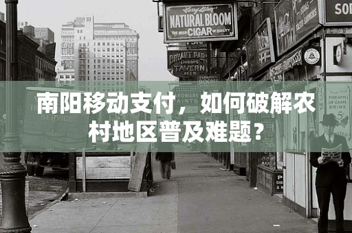 南阳移动支付，如何破解农村地区普及难题？