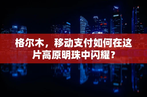 格尔木，移动支付如何在这片高原明珠中闪耀？