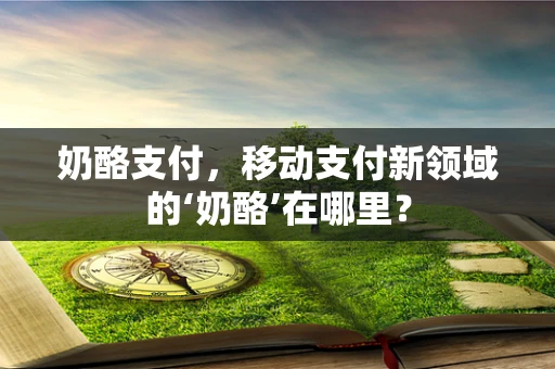 奶酪支付，移动支付新领域的‘奶酪’在哪里？