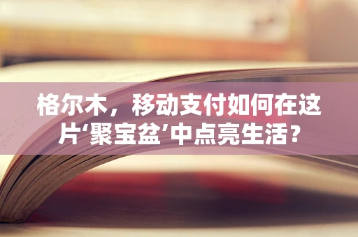 格尔木，移动支付如何在这片‘聚宝盆’中点亮生活？