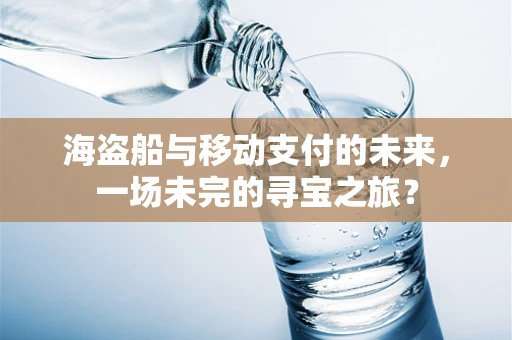 海盗船与移动支付的未来，一场未完的寻宝之旅？