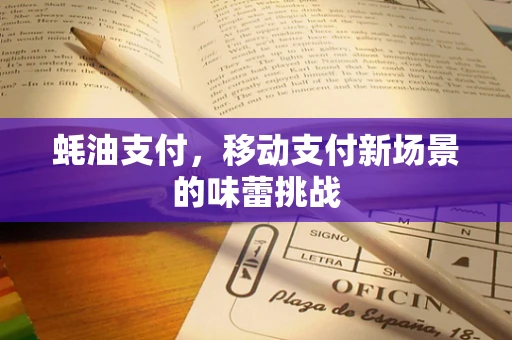 蚝油支付，移动支付新场景的味蕾挑战