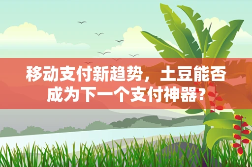 移动支付新趋势，土豆能否成为下一个支付神器？