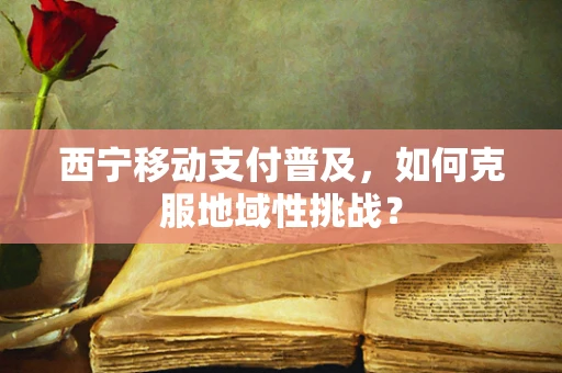 西宁移动支付普及，如何克服地域性挑战？