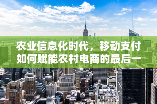 农业信息化时代，移动支付如何赋能农村电商的最后一公里？