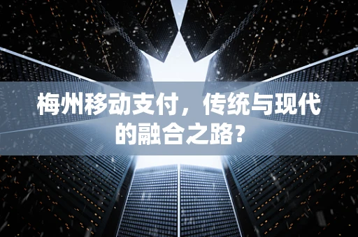 梅州移动支付，传统与现代的融合之路？