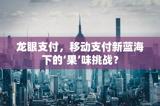 龙眼支付，移动支付新蓝海下的‘果’味挑战？