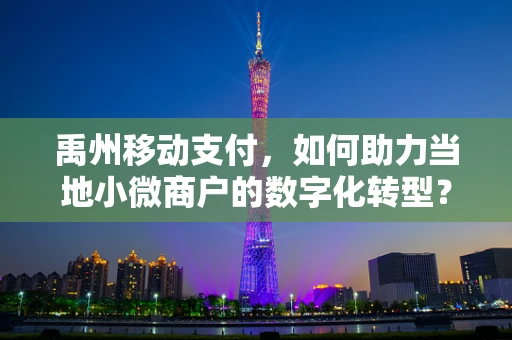 禹州移动支付，如何助力当地小微商户的数字化转型？