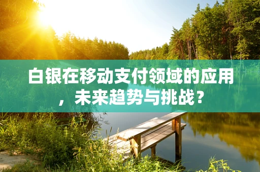 白银在移动支付领域的应用，未来趋势与挑战？