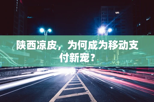 陕西凉皮，为何成为移动支付新宠？