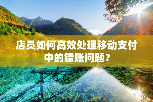 店员如何高效处理移动支付中的错账问题？