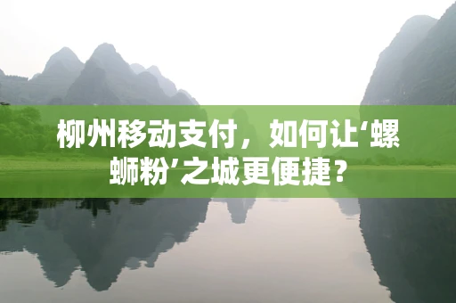 柳州移动支付，如何让‘螺蛳粉’之城更便捷？