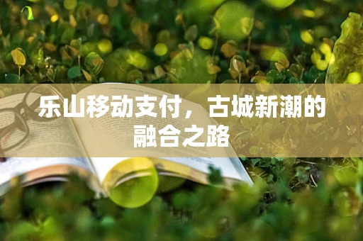 乐山移动支付，古城新潮的融合之路