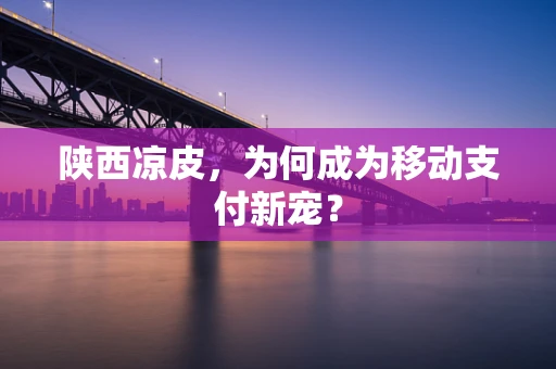 陕西凉皮，为何成为移动支付新宠？